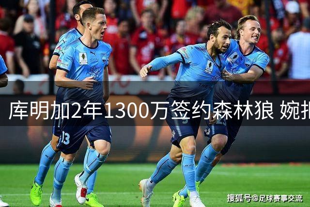 库明加2年1300万签约森林狼 婉拒多队高薪邀约