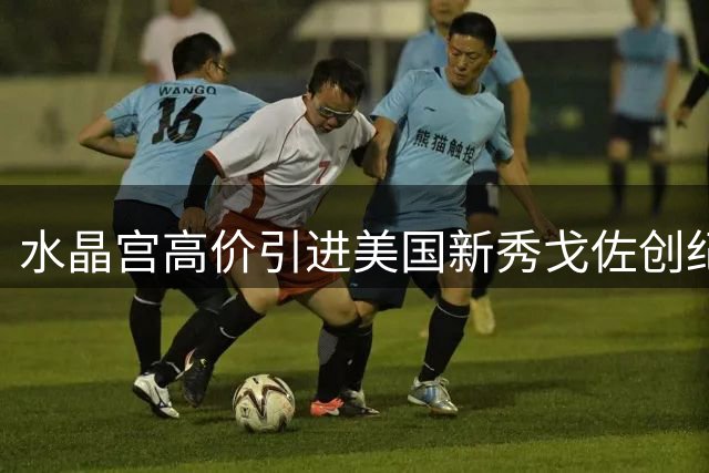 水晶宫高价引进美国新秀戈佐创纪录