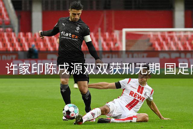 许家印陈戌源双双获刑无期 国足内斗往事浮出水面